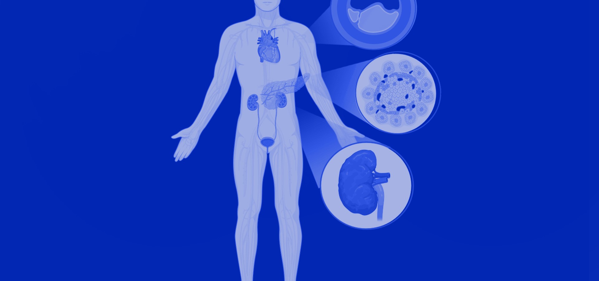 Genetically Modified Bacterial Biosensor for Analyte Detection