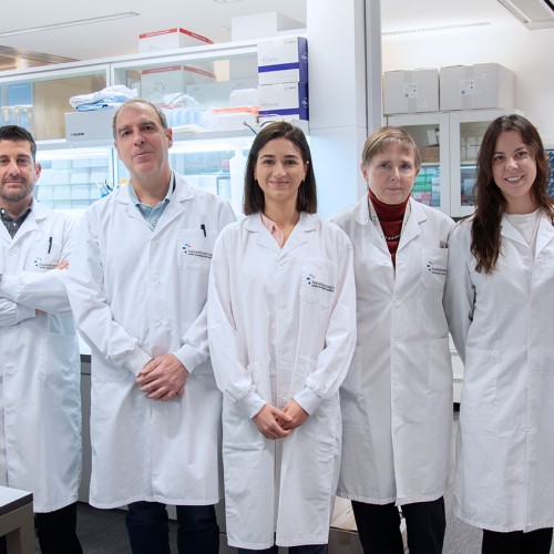 Navarrabiomed identifica una nueva ruta de señalización molecular en cáncer para optimizar las inmunoterapias biológicas de nueva generación 