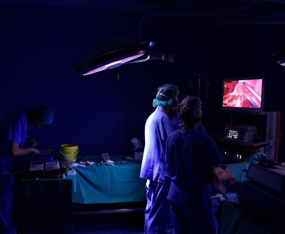 Biomodels Facilities and Experimental Operating Theater